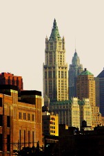 Vintage Digital Woolworth - 484