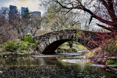 Gapstow Bridge, The Pond - 503