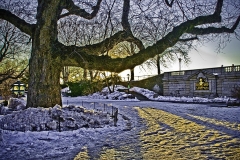 Winter - Central Park NYC - 298