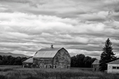 Autumn-Columbia-County-NY-564