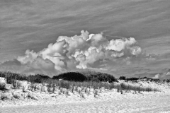 Dune-Montauk-NY-561