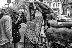 SOHO Horse - 542